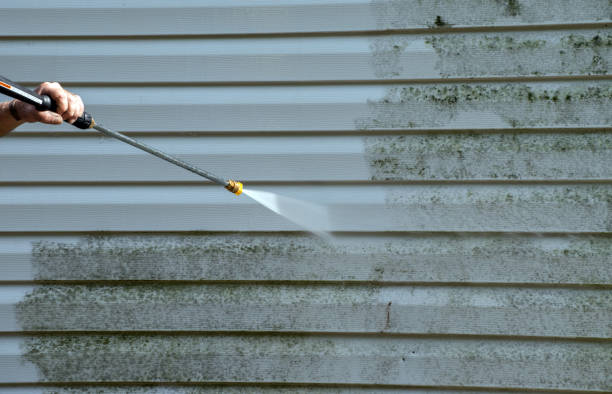 Best Gutter Cleaning in Fife Heights, WA